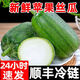農(nóng)大姐妹【順豐冷鏈】蘋(píng)果絲瓜 新鮮圓絲瓜 綠絲瓜 胖肉絲瓜山東壽光蔬菜 5斤