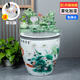 晟煦景德鎮陶瓷魚(yú)缸大號養荷花睡蓮盆水缸庭院客廳書(shū)房擺件書(shū)畫(huà)卷軸缸 蓮年有余+綠色福壽綿長(cháng)流水器 63x63x74cm