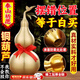 時(shí)島黃銅葫蘆純銅風(fēng)水鎮宅擺件正品空心銅制葫蘆家居客廳掛件招財開(kāi)口 黃銅葫蘆-4寸-高10cm