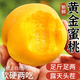 春福樂 山東蒙陰黃桃【地標(biāo)認(rèn)證】新鮮水果現(xiàn)摘現(xiàn)發(fā)桃子孕婦水果 5斤暢享裝【顆顆精選】?jī)糁?.5斤
