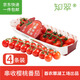 京鮮生＆知翠 精品串收櫻桃番茄198g*4盒 自然熟水果小西紅柿 源頭直發(fā)