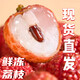 夢茜兒順豐 荔枝 5斤鮮凍大果超甜奶茶店原料海南特產(chǎn)整箱 1斤 鮮凍荔枝 現(xiàn)貨速發(fā)