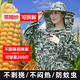 掰玉米防刮臉衣服帽子專用玉米地防護(hù)服掰玉米丫神器農(nóng)村下地干活帽透氣防曬護(hù)臉防蚊蟲蜜蜂衣服 【五星色】加厚防護(hù)服+網(wǎng)紗帽