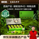 小罐茶大師系列·西湖龍井2025年明前特級龍井茶金罐15罐60g 
