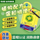 金舒通便秘清腸排毒通便膠囊常通堂遠(yuǎn)播名實(shí)中老年嚴(yán)重便秘通便改善胃腸 買1發(fā)5 共5盒周期裝