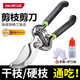 得力（deli）剪枝果樹(shù)修枝剪刀園藝修剪樹(shù)枝園林省力修花枝剪家用工具剪子神器 【8英寸省力款】高碳鋼修枝剪