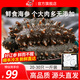 燈火島即食海參 大連冷凍遼刺參即食刺參 單個(gè)獨(dú)立包裝500g 即食海參一斤 【20-30只】