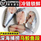 鮮拔頭籌馬鮫魚(yú)切片 青島大鲅魚(yú)中段尾段整條去頭去尾深海魚(yú)類(lèi)海鮮 中尾段4斤（凈重）6段/斤