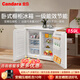 CANDARA德國159升臺下嵌入式臥式冰箱家用小戶(hù)型變頻一級能效節能冰箱櫥柜冰箱小冰箱廚房冰箱冷柜 一級能效 象牙白 159升 變頻壓縮機保3年
