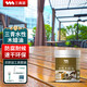 三青水性木蠟戶外防腐木油木器清漆家具防霉油漆透明清漆半啞光1kg