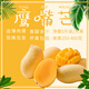 云南鷹嘴芒果 黃皮甜芒核薄多汁香甜無絲新鮮水果整箱 凈重5斤裝【單果180-250克】中果