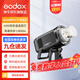 神牛（Godox） AD600pro外拍閃光燈單反相機(jī)TTL高速同步連拍攝影燈內(nèi)置2.4G接收器 AD600Pro二代 官方標(biāo)配