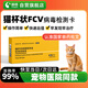 萌格貓杯狀FCV病毒檢測(cè)卡膠體金檢測(cè)試紙條1條/盒貓咪發(fā)燒口腔炎