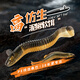 桑巴路亞桑巴泥鰍仿生假餌路亞翹嘴專(zhuān)用鱖鱸魚(yú)仿真螺紋軟餌倒釣t尾浮水餌 泥鰍色10條【緩沉款7cm】