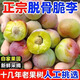 趣鮮語(yǔ)正宗四川脫骨李新鮮孕婦水果脫骨李子【源頭直發(fā)】當(dāng)季脆甜半邊紅 5斤【精品青黃脆李大果凈4.5斤】