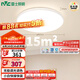 雷士（NVC）全光譜護(hù)眼吸頂燈臥室智能簡(jiǎn)約現(xiàn)代LED照明圓燈白雪Z包安裝