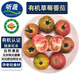 聽(tīng)蔬有機認證草莓番茄3斤5斤  口感鮮食西紅柿 多汁滿(mǎn)籽自然熟無(wú)農殘 鮮食口感番茄 5斤 小果