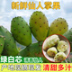 鮮級(jí)佳四川仙人掌果【現(xiàn)摘現(xiàn)發(fā)】食用瀘定綠心果實(shí)新鮮稀奇水果仙桃大果 2斤