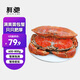 面包蟹母鮮活熟凍大螃蟹海蟹新鮮海鮮水產(chǎn)生鮮黃金蟹珍寶蟹凈重 600-800g*1只【特大滿膏】