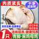 柒島農(nóng)家散養(yǎng)黑腳老母雞黑腳雞黑腳土雞老柴雞草雞笨雞正宗 青腳麻雞（母雞）凈重1.8-2斤【1只】