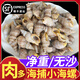 蘇漁海岸蘇漁海岸貝貝螺紅棗螺白玉花螺海瓜子新鮮海捕小海螺麻辣爆炒食材 2斤裝（新鮮海捕 無泥無沙）