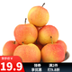 趣覓鮮鞍山南果梨香水梨子禮盒裝正宗東北特產(chǎn)南國(guó)梨子紅皮新鮮水果 5斤帶箱黃果40個(gè)左右