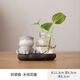 綠蘿水培花盆器皿花瓶透明玻璃插花花器客廳辦公桌裝飾品家居擺件 仰望貓-水培花器 水培擺件-不含植物