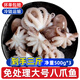 一蝦一世界鮮活冷凍小八爪魚 三去迷你章魚仔去齒去內(nèi)臟 火鍋燒烤年夜飯食材 無冰大號 3斤(凈重)  【免處理】