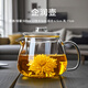 天喜（TIANXI）玻璃泡茶壺2025新款家用加厚耐高溫小花茶壺單壺煮茶燒水壺 【加厚防爆】企鵝壺500ML