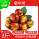 京覓陜西大荔冬棗頭茬精品 單果16-25g 凈重3斤 源頭直發(fā)包郵