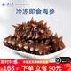 海芝屋大連 底播新鮮遼刺參 即食海參 海鮮水產(chǎn) 鮮凍小只-試吃1斤裝:16-20只