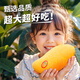 優(yōu)圣園 正宗金煌芒【閃送-多地次日達(dá)】肉厚核薄新鮮水果海南仙紙核芒果 凈重9斤裝【巨劃算-80%人選】 【7A | 中果】單果200-300g+