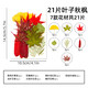 皓梵潔樹(shù)葉標本干樹(shù)葉畫(huà)葉子干樹(shù)葉材料包植物標本手工diy貼畫(huà)材料干花 diy樹(shù)葉畫(huà)21片秋楓（葉子系）