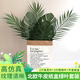 悠梵萌韓風(fēng)ins創(chuàng)意北歐風(fēng)樹(shù)葉家居裝飾仿真龜背葉大葉插花綠植植物