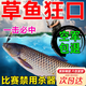 草魚(yú)專(zhuān)用餌料釣草魚(yú)狂開(kāi)口餌料窩料野釣黑坑青魚(yú)配方魚(yú)餌專(zhuān)殺 【草魚(yú)狂開(kāi)口】1包爆護