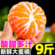 云南蜜橘早熟青皮橘子9斤酸甜新鮮桔子應(yīng)季孕婦水果無(wú)籽綠皮橘子 【3斤中果】約12~24個(gè)