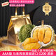 東來(lái)甄選馬來(lái)西亞D200黑刺榴蓮自然樹熟液氮鎖鮮禮盒裝送人送長(zhǎng)輩順豐冷鏈 甄選【保5房】當(dāng)季新果4.1-4.5斤