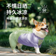MIKI PAD狗狗衣服夏季薄款貓咪衣服夏天降溫涼涼衣四腳柯基衣服戶外防曬 巴斯光年 公狗需剪襠 背長(zhǎng)24胸圍46（推薦13-19斤）