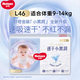 好奇金裝紙尿褲 嬰兒尿不濕 男女寶寶通用 大號L40+6片（9-14KG)