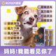 鑫安鑫安撥雲(yún)錠狗白內(nèi)障寵物專用預(yù)防視力下降老年貓狗眼睛渾濁分泌物 撥雲(yún)錠 1盒