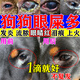 狗狗眼藥水去眼屎神器寵物眼屎多眼睛發(fā)炎流膿去除淚痕消炎滴眼液 1瓶裝【專攻版】見(jiàn)校更快