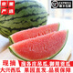 京果嚴選正宗龐各莊西瓜北京大興特產(chǎn)小吊瓜L600西瓜當季新鮮水果禮盒裝 精選 2?！緝糁?-7斤】