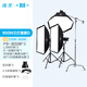 南冠fs-300b雙色溫直播補(bǔ)光燈專業(yè)led影視燈服裝直播間打光燈 人像兒童影樓婚紗拍照攝影燈 900W三燈套裝D
