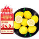 京鮮生 安岳黃檸檬 8粒 單果95-120g 生鮮水果