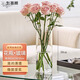 生喜朗玻璃花瓶透明插花瓶干花仿真花假花富貴竹水培容器客廳裝飾擺件