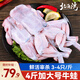 北海灣牛蛙 蛙肉 鮮活現(xiàn)殺免處理去皮生鮮半成品燒烤食材干鍋香辣大牛蛙 大號(hào)牛蛙 凈重4斤【12-14只】