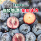 農(nóng)味族有點(diǎn)酸云南夏黑葡萄黑加侖黑蜜葡萄整串無(wú)籽黑提現(xiàn)摘新鮮水果順豐 精選2斤順豐陸運(yùn)