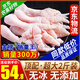 柒島無骨雞爪生鮮新鮮去骨鳳爪冷凍批發(fā)半成品泡椒大號(hào)雞腳脫骨凈重 2.01斤無骨雞爪24-26只 頂配無冰