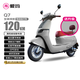 愛瑪電動自行車Q7豪華復(fù)古長續(xù)航強動力智能安全雙人電瓶車【4G定位】 云母銀