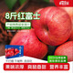 青怡陜西特產(chǎn)洛川紅富士時令蘋果新鮮水果禮盒 源頭產(chǎn)地包郵直發(fā) 8斤【臻選禮盒】特大果220g+